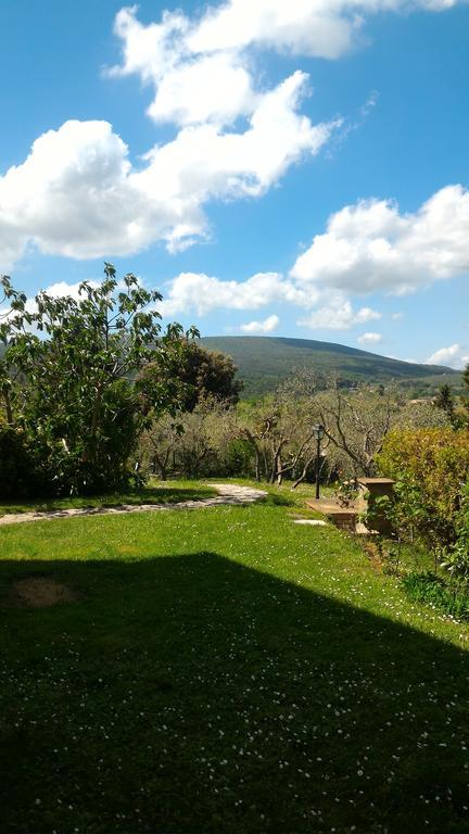 Borgo Montauto Villa San Gimignano Ngoại thất bức ảnh